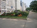 Chicago Rock N Roll 2010 0700